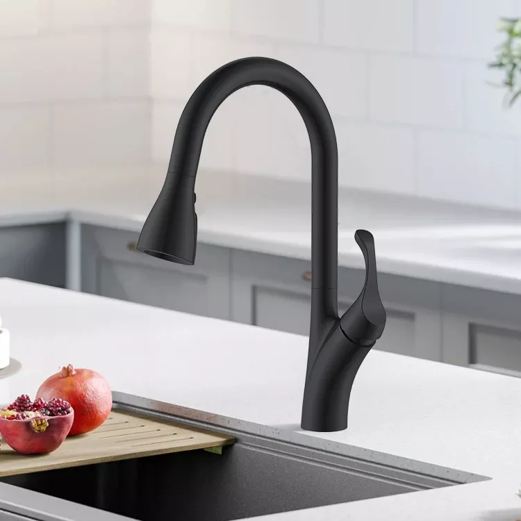 Robinet de cuisine noir Robinets de cuisine American Standard