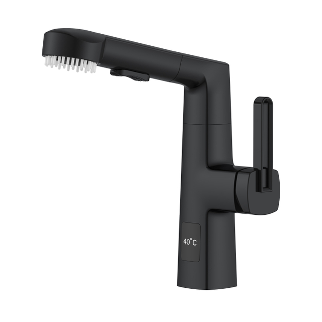 Robinet de salle de bain coulissant noir mat de dernière conception avec brosse à cheveux
