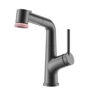 Robinet de salle de bain rétractable en métal Gun Metal avec brosse de beauté